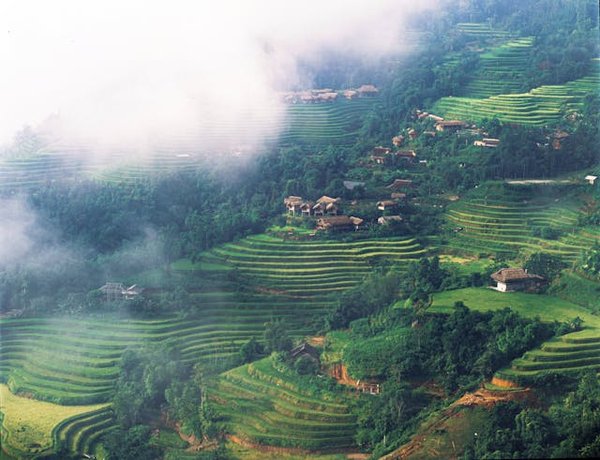 Comment explorer les rizières en terrasses de Sapa, Vietnam : itinéraires et conseils pratiques ?